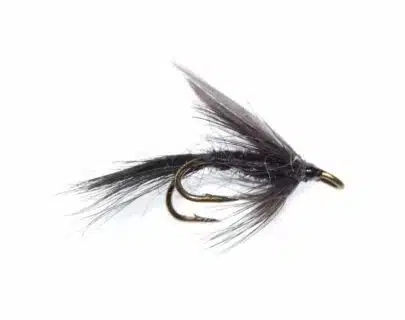 Black Gnat - dobbel | Arctic-Fritid.as Black Gnat - dobbel | Arctic-Fritid.as
