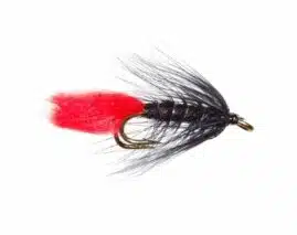 Black Zulu - dobbel | Arctic-Fritid.as