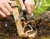 Light My Fire FireLighting Kit - CocoShell | Arctic-Fritid.as