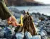 Light My Fire MayaSticks - 900g | Arctic-Fritid.as