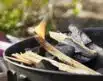 Light My Fire TinderSticks | Arctic-Fritid.as