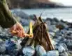 Light My Fire MayaSticks - 4,5kg | Arctic-Fritid.as