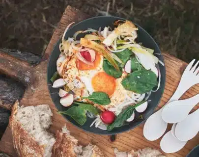 RamenPlate Turtallerken - Grønn | Arctic-Fritid.as