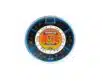 Wiggler splitthagl - Small 70/120gr | Arctic-Fritid.as