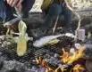 Fire'n Grill Kit fra Light My Fire | Arctic-Fritid.as