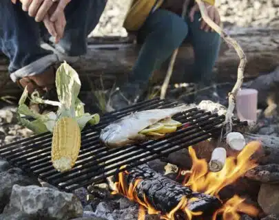 Fire'n Grill Kit fra Light My Fire | Arctic-Fritid.as