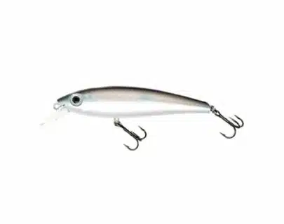 Prey Target - Brisling | Arctic-Fritid.as Prey Target - Brisling | Arctic-Fritid.as