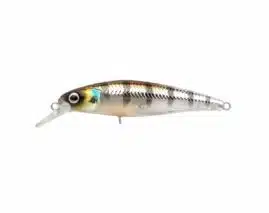 SPRO Ikiru Jerk - Buzzer | Arctic-Fritid.as