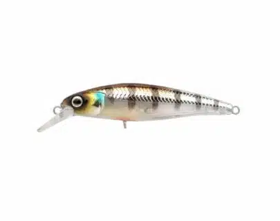 SPRO Ikiru Jerk - Buzzer | Arctic-Fritid.as