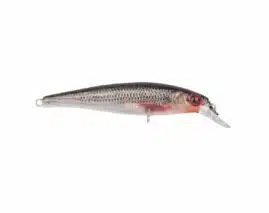 SPRO Ikiru Jerk - Roach | Arctic-Fritid.as