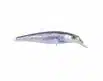 SPRO Ikiru Jerk - Sea Trout | Arctic-Fritid.as