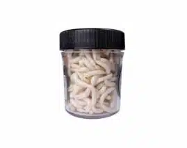 Traper Magic Bait Hvit Maggot | Arctic-Fritid.as