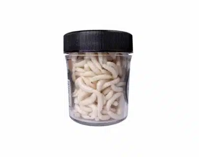 Traper Magic Bait Hvit Maggot | Arctic-Fritid.as
