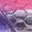 Holo Pink Shiner | Arctic-Fritid.as