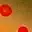 Painted Arctic Char | Arctic-Fritid.as