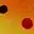 UV Painted Trout | Arctic-Fritid.as
