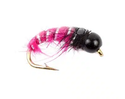 Gold Head Czech Nymphs - Black/Pink | Arctic-Fritid.as Gold Head Czech Nymphs - Black/Pink | Arctic-Fritid.as