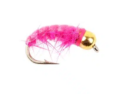 Gold Head Czech Nymphs - Bright Pink | Arctic-Fritid.as Gold Head Czech Nymphs - Bright Pink | Arctic-Fritid.as