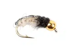 Gold Head Czech Nymphs - Grey | Arctic-Fritid.as