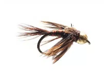 Gold Head March Brown | Arctic-Fritid.as